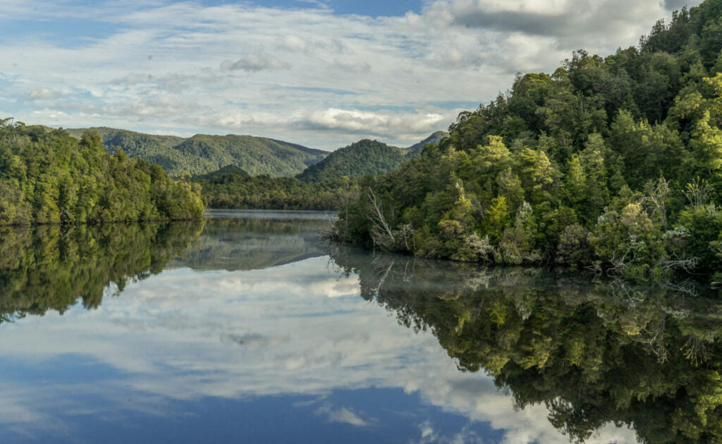 A beautiful landscape of Australian bushland with a waterway in Tasmania.