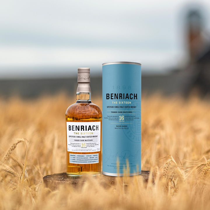 A bottle of Benriach The Sixteen Single Malt Scotch Whisky with its blue cylindrical packaging stands in a golden wheat field, emphasizing the smooth character of this triple cask matured release.