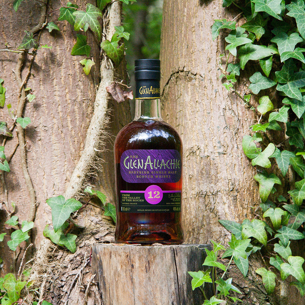A bottle of GlenAllachie 12 Year Old Single Malt Scotch Whisky sits on a tree stump in a tranquil forest, surrounded by ivy and tall trunks, reflecting the essence of its sherry cask maturation.
