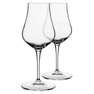 Luigi Bormioli Vinoteque Glass Set (2-Piece)